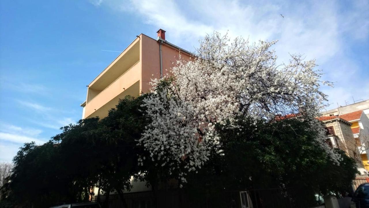 Split Symphony Veranda: Modern, New Apartment Dış mekan fotoğraf