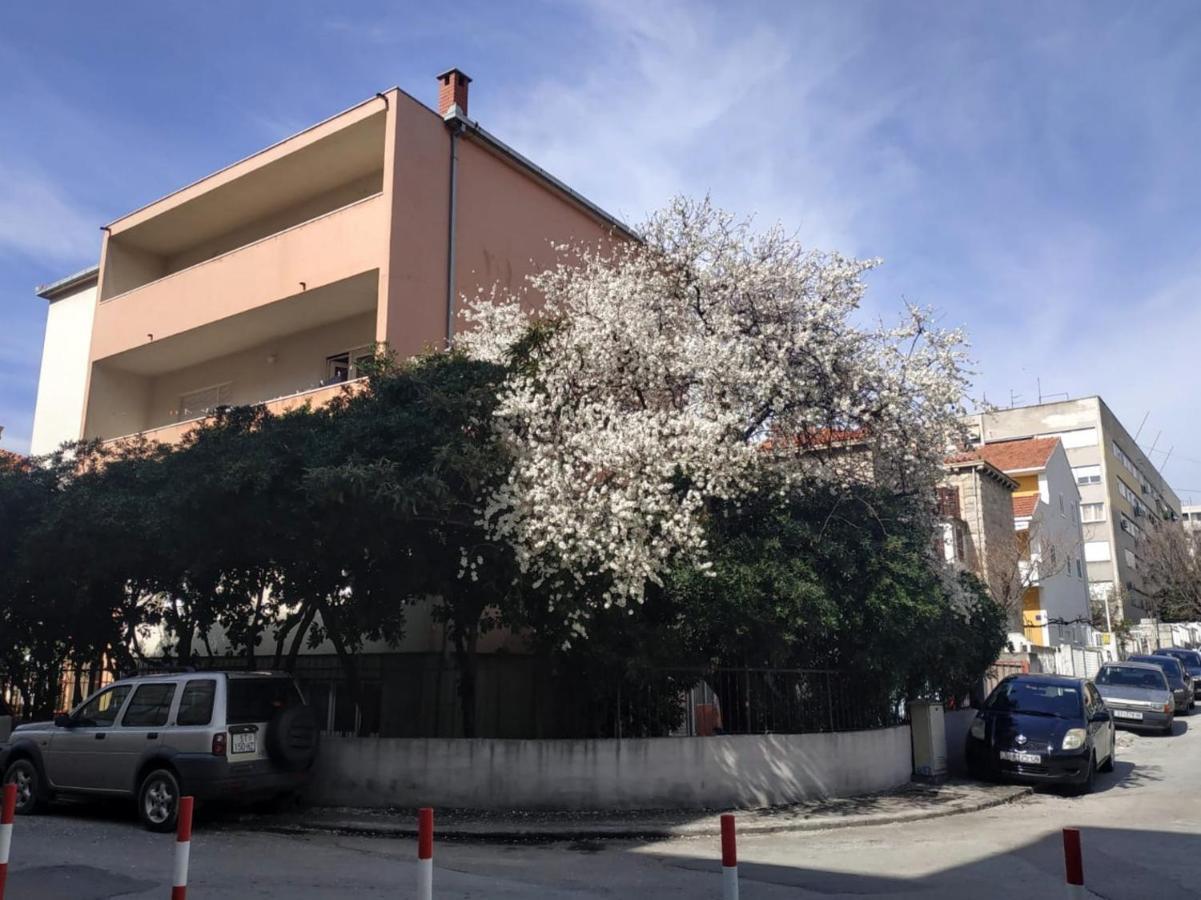 Split Symphony Veranda: Modern, New Apartment Dış mekan fotoğraf
